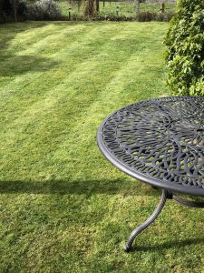 Mowed lawn with lines